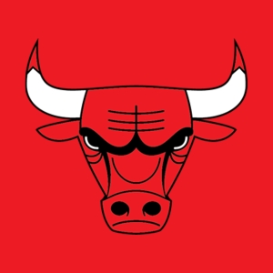 Шорты Chicago Bulls